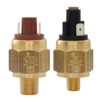 PMN Adjustable pressure switches with push-on terminal